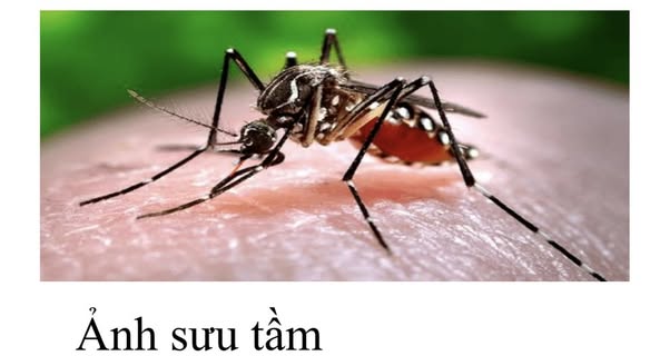 SỐT XUẤT HUYẾT – MỐI NGUY HIỂM KHÔNG THỂ CHỦ QUAN