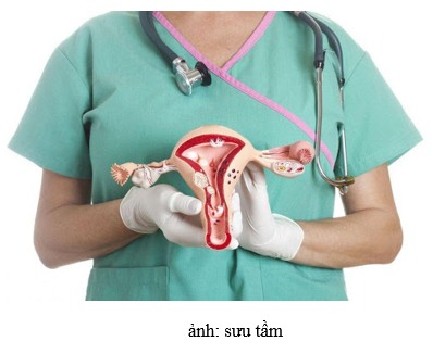 TẦM SOÁT UNG THƯ CỔ TỬ CUNG GIẢI PHÁP HIỆU QUẢ BẢO VỆ SỨC KHỎE PHỤ NỮ
